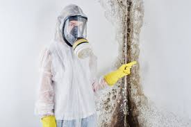 Trusted Bay Minette, AL Mold Remediation Experts